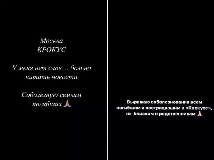 Знаменитые ростовчане выразили слова соболезнования родным погибших в теракте