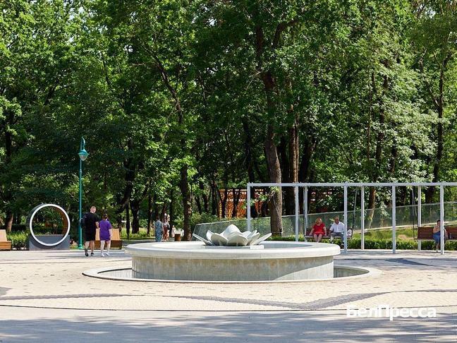 Гладков раскритиковал работу белгородских чиновников из‑за проблем с фонтанами - Изображение 