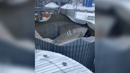 Крыша обрушилась под тяжестью снега на заводе под Воронежем