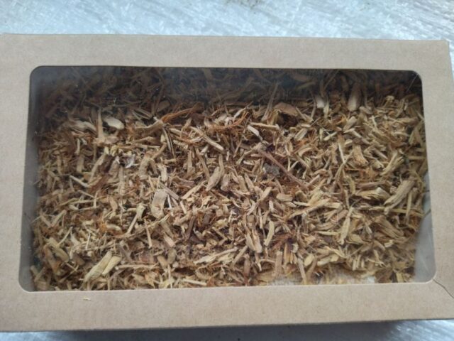 Можно ли шиповник при грудном вскармливании: чай, отвар, компот, в первый месяц