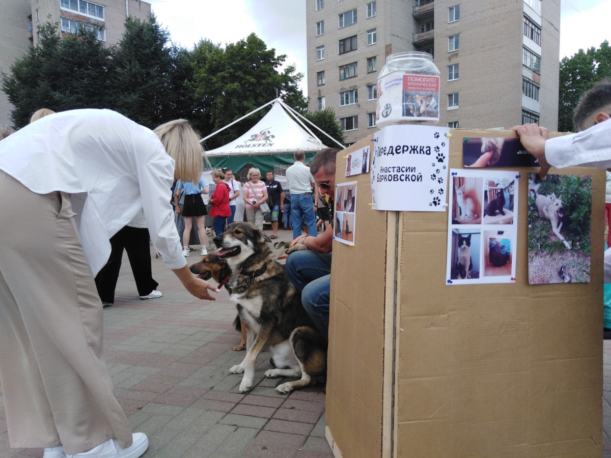 Смоленск выставка собак