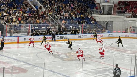 «Дизель» завершил победой серию домашних игр