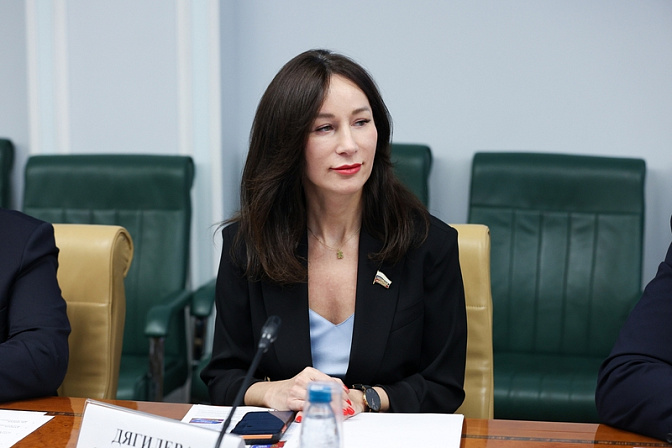 сенатор елена дягилева