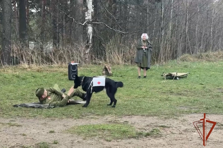 Кинологи Росгвардии рассказали жителям Томской области, как военные собаки помогали приближать Победу в Великой Отечественной войне