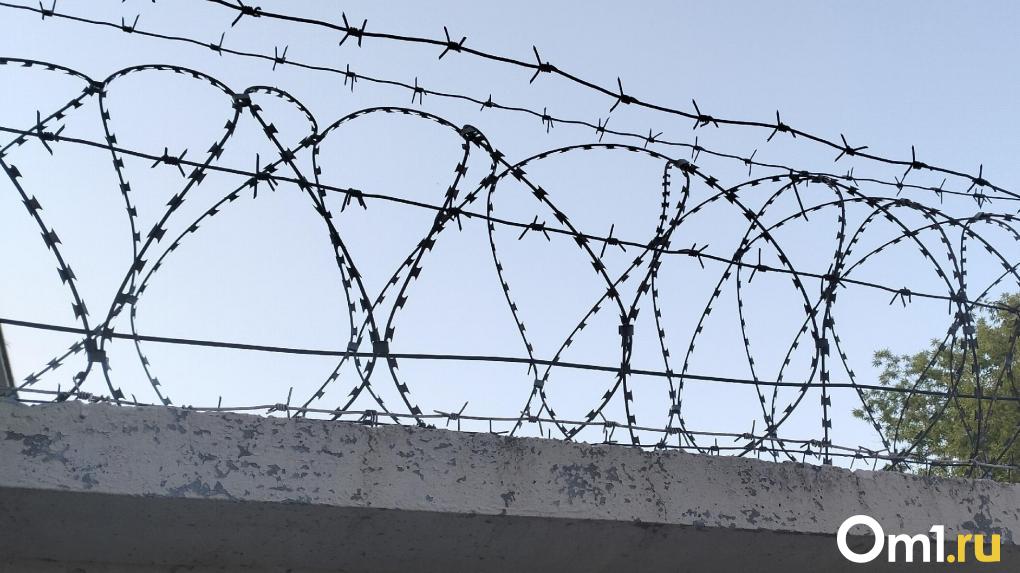 Уголовное дело в Омской области: мужчина обвиняется в истязании семьи