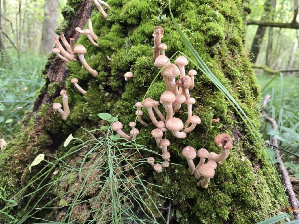 Фото: МедиаБанк Подмосковья/Яна Шаливская