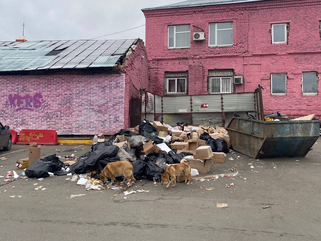 Роспотребнадзор по суду обязал администрацию города убрать стихийную свалку на Спасской