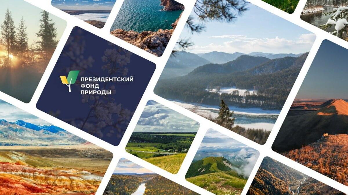 Стартовал конкурс Президентского фонда природы