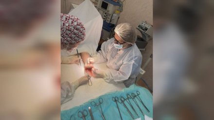 Воронежец во время ремонта отпилил себе кисть циркулярной пилой