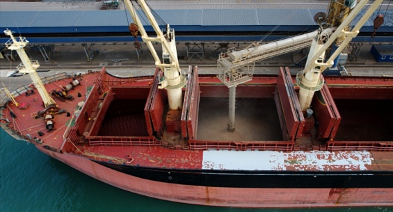 Возобновление поставок российской пшеницы в Индонезию: специалисты Новороссийска подтвердили качество и безопасность более 50 тысяч тонн зерна