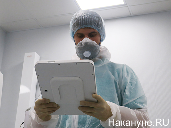 Фото: Накануне.RU