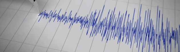 Число пострадавших при землетрясении в Турции возросло до 35 человек