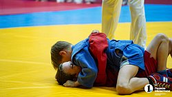 В Челябинске провели Фестиваль борьбы по трем единоборствам