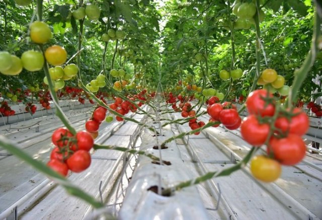 na-torgah-gtsbt-obshaya-summa-sdelok-sostavila-svyshe-7-millionov-763-tysyac-dollarov-ssha