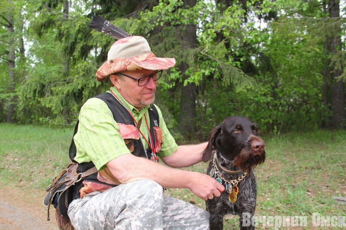 Лайки, борзые и гончие: в Омске прошла выставка охотничьих собак
