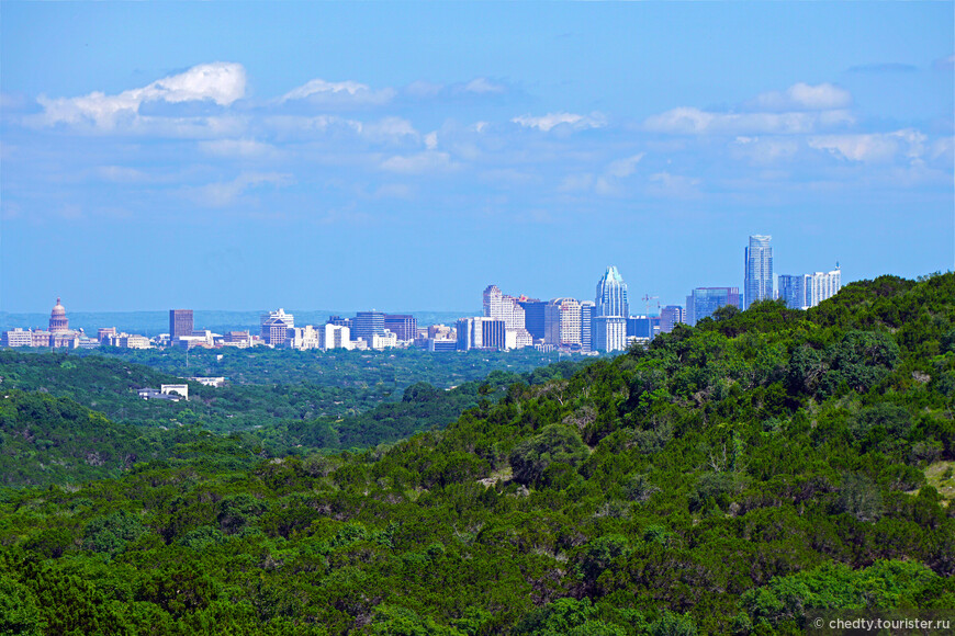 Жизнь на опушке леса