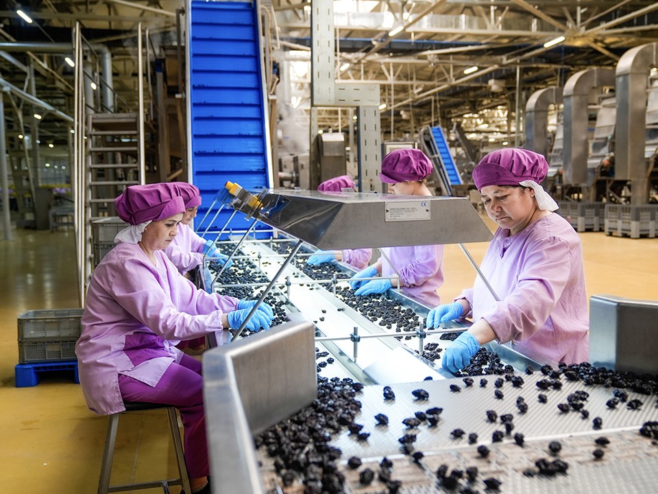 Компания из Истры откроет в Узбекистане предприятие по выпуску заменителей грудного молока