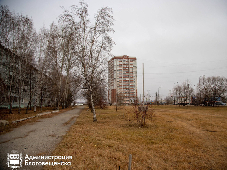 Более 600 амурчан выступили за строительство нового сквера в Благовещенске