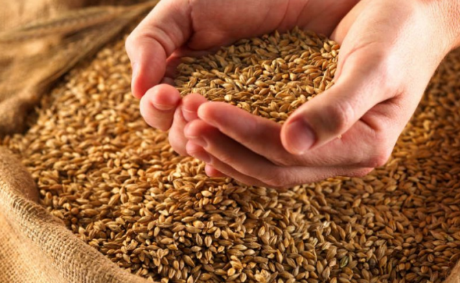 ЕС введёт пошлину на импорт зерна из России и Белоруссии — FT | Русская весна