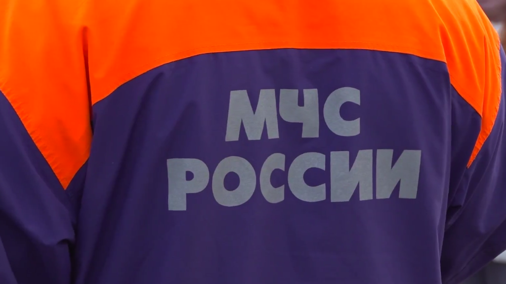 Брянские спасатели за сутки ликвидировали два пожара
