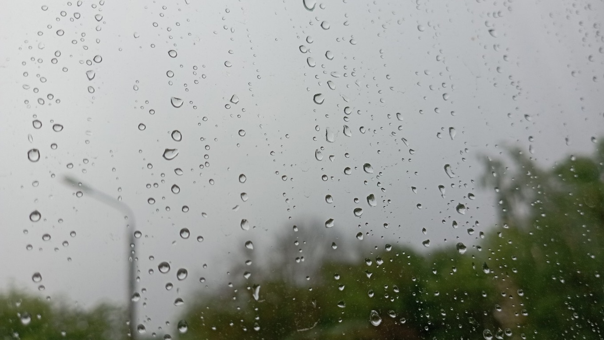 5 июня дождь