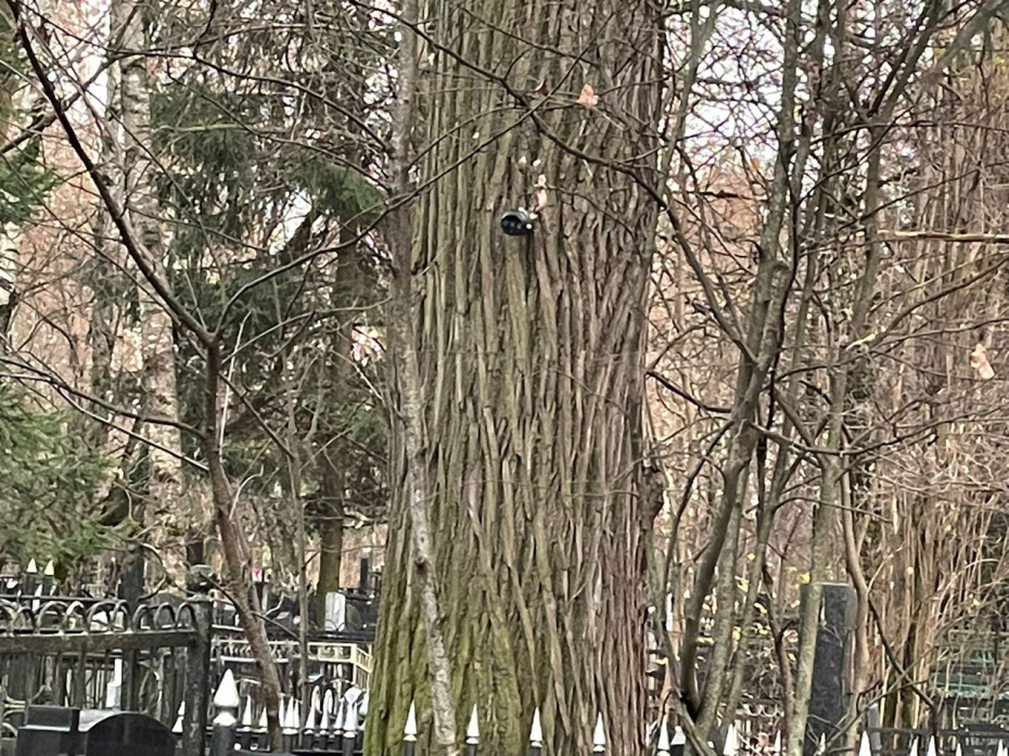 Камера возле могилы Нонны Мордюковой