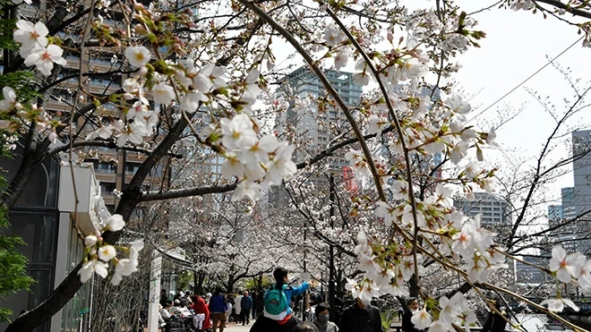 The Asahi Shumbun (0+)