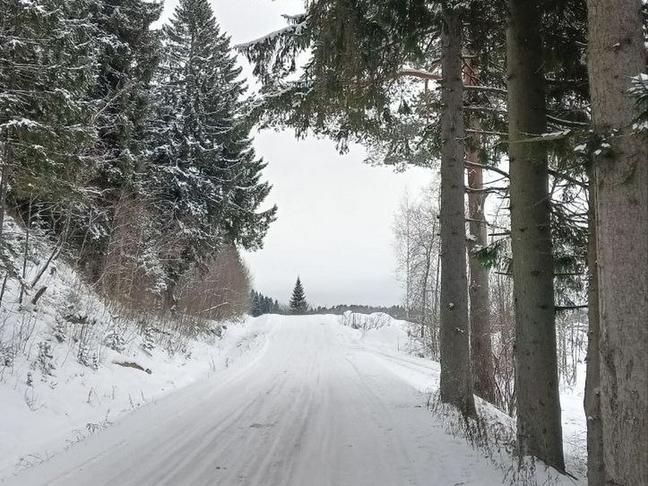 Сотворение Севера. Зачем белгородцы едут в Карелию зимой - Изображение 