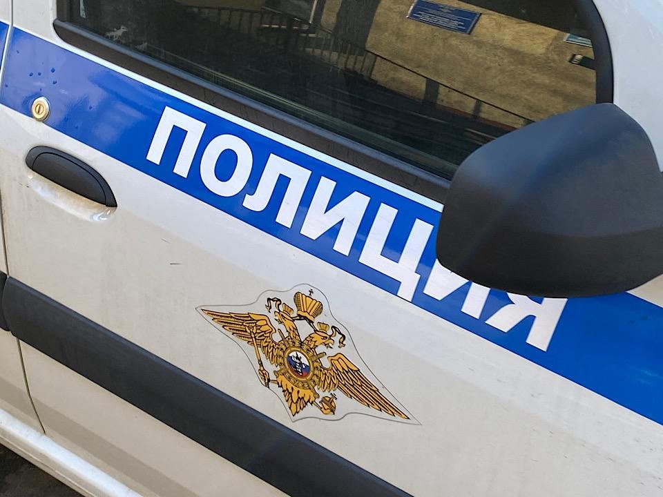 Участники рейда в Кузьминском лесопкарке встретили неожиданного правонарушителя