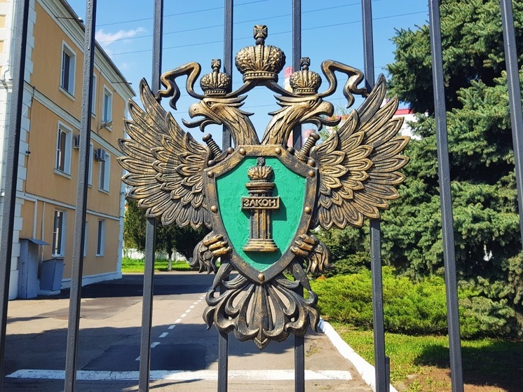Дело о покушении жительницы Краснодара на убийство полицейского передали в суд
