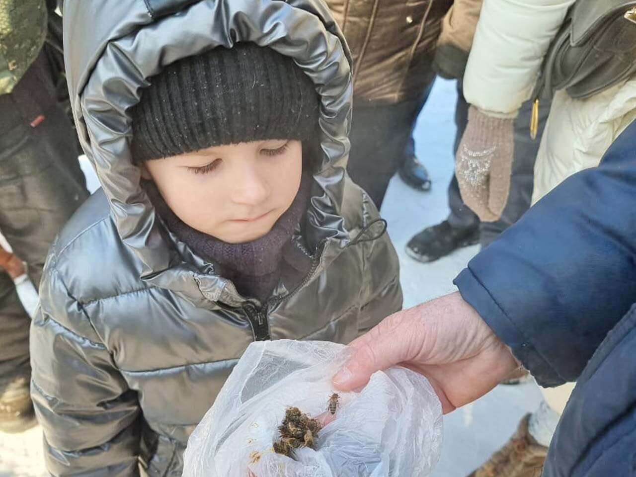 Калужская пчелы. Пчеловодство в Калужской области. Пчеловодство колхозник. Фермеры.