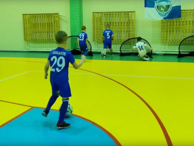 Хинштейн: долг «Авангарда» в 24 млн будет погашен из резервного фонда Курской области