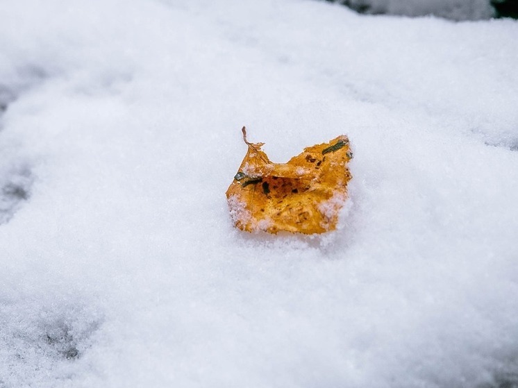 Якутский холод добрался до Приморья: синоптики предупредили о суровой зиме