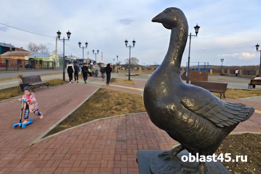 Шадринск стал лидером молодёжной политики Курганской области по итогам 2025 года