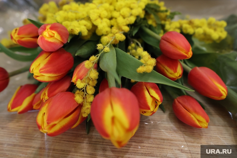 Салон цветов. Курган, тюльпаны, букет, цветочный магазин, цветы, международный женский день, 8 марта, салон цветов