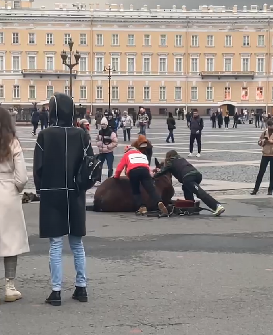 Надо сорваться в питер текст. Люди на Дворцовой площади. Кони на Дворцовой площади. Босиком на Дворцовой площади.