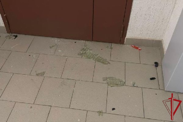 В Кудрово сотрудники Росгвардии задержали правонарушителя, топором повредившего двери в жилом доме