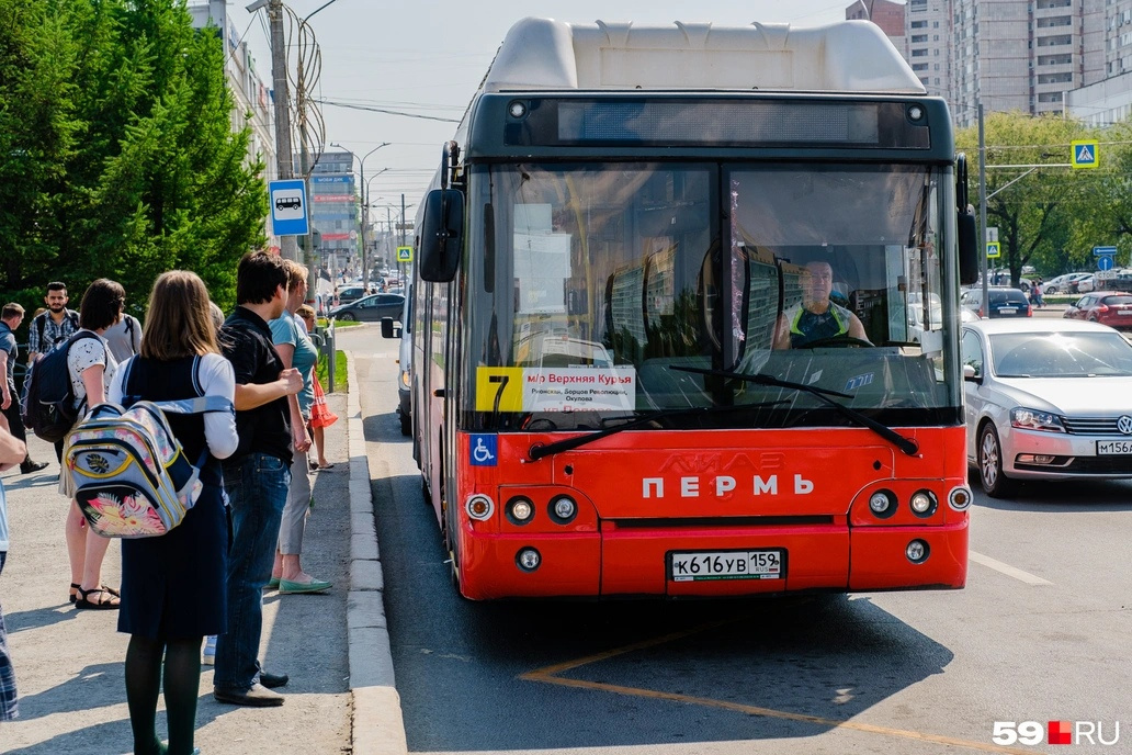 Частью транспортной реформы, как и в Архангельске, стало изменение автобусного автопарка