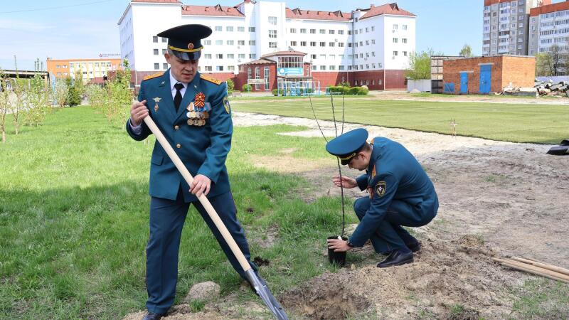 Память для потомков