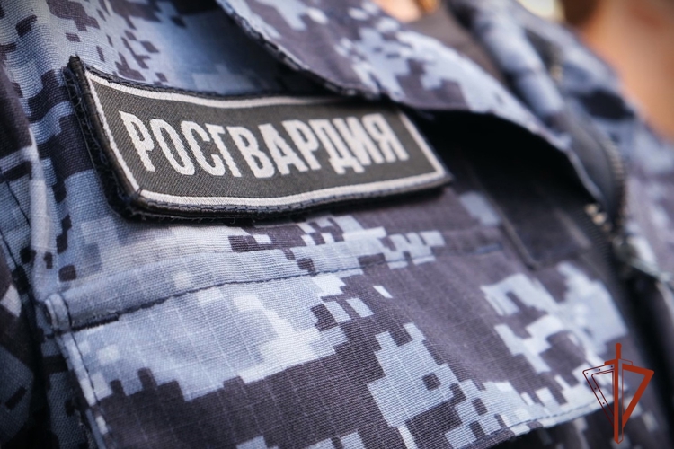 Сотрудники Росгвардии задержали подозреваемого в серии краж абаканца