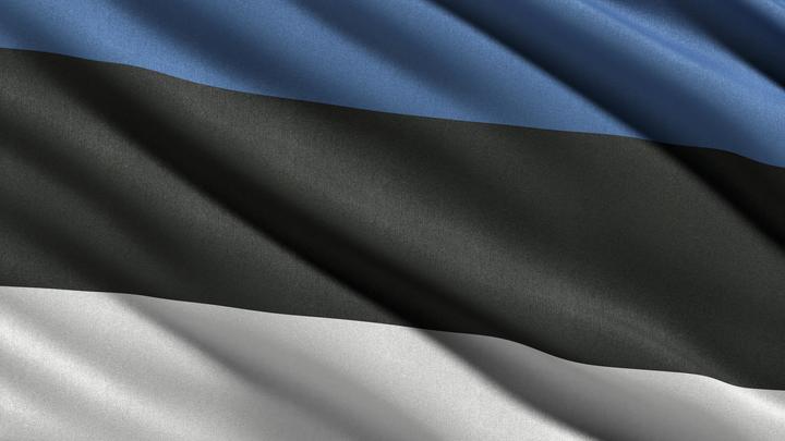 Эстонские полицаи отменили День Победы. Здесь нет ни слова преувеличения