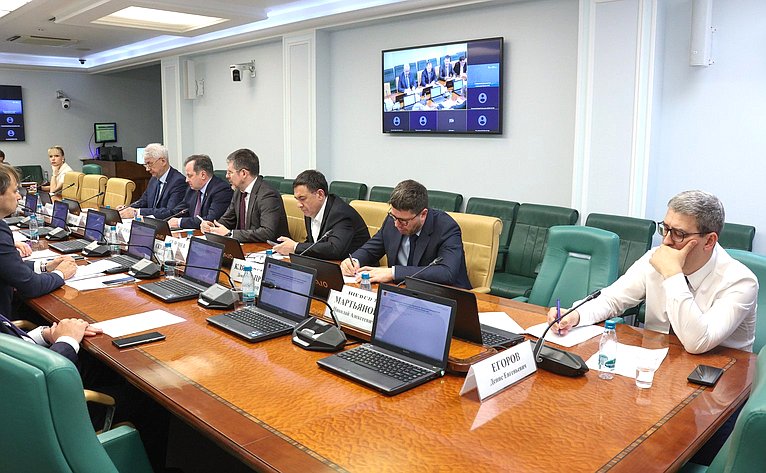 Круглый стол Комитета Совета Федерации по экономической политике «Совершенствование механизмов управления стратегическим развитием электроэнергетики Российской Федерации»