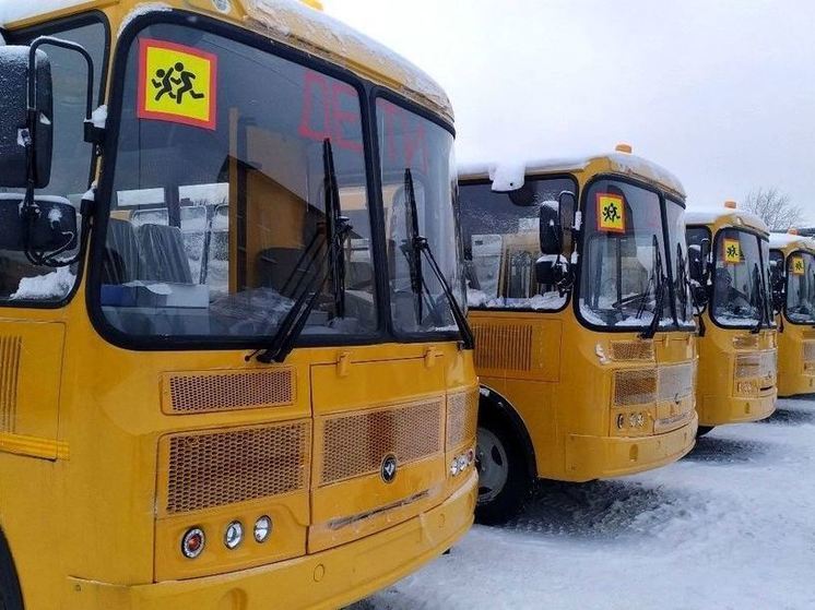 Сельские школы Костромской области получат восемь новых школьных автобусов