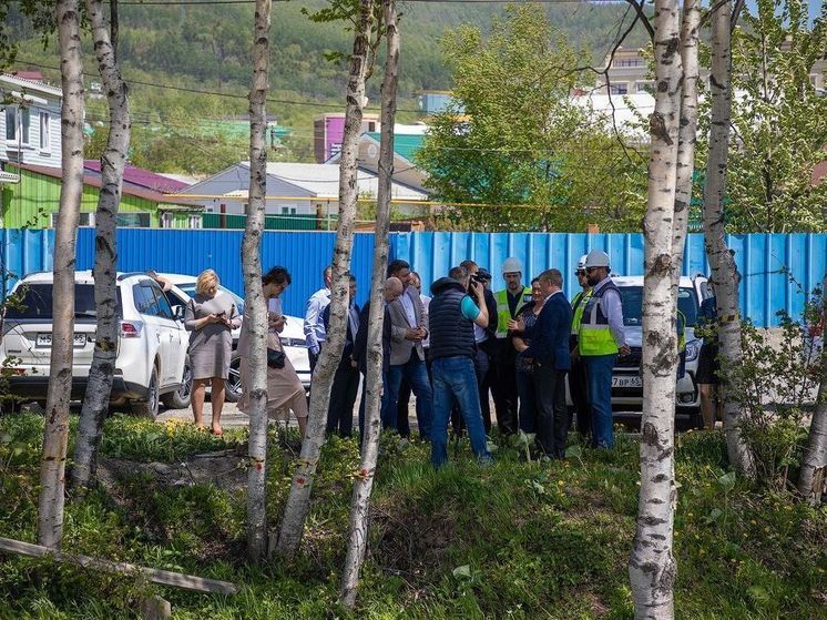 Более 100 молодых деревьев сохранят при прокладке канализационного коллектора в Южно-Сахалинске