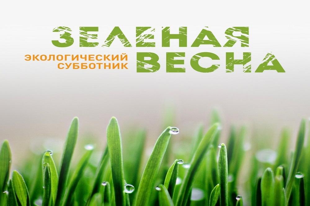 Проект зеленая весна