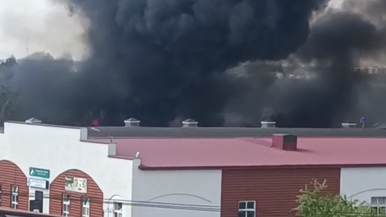 пожар на гужевой. пожар на гужевой. лошадь сгорела в конюшне. лошадь сгорела в конюшне. пожар на гужевой.