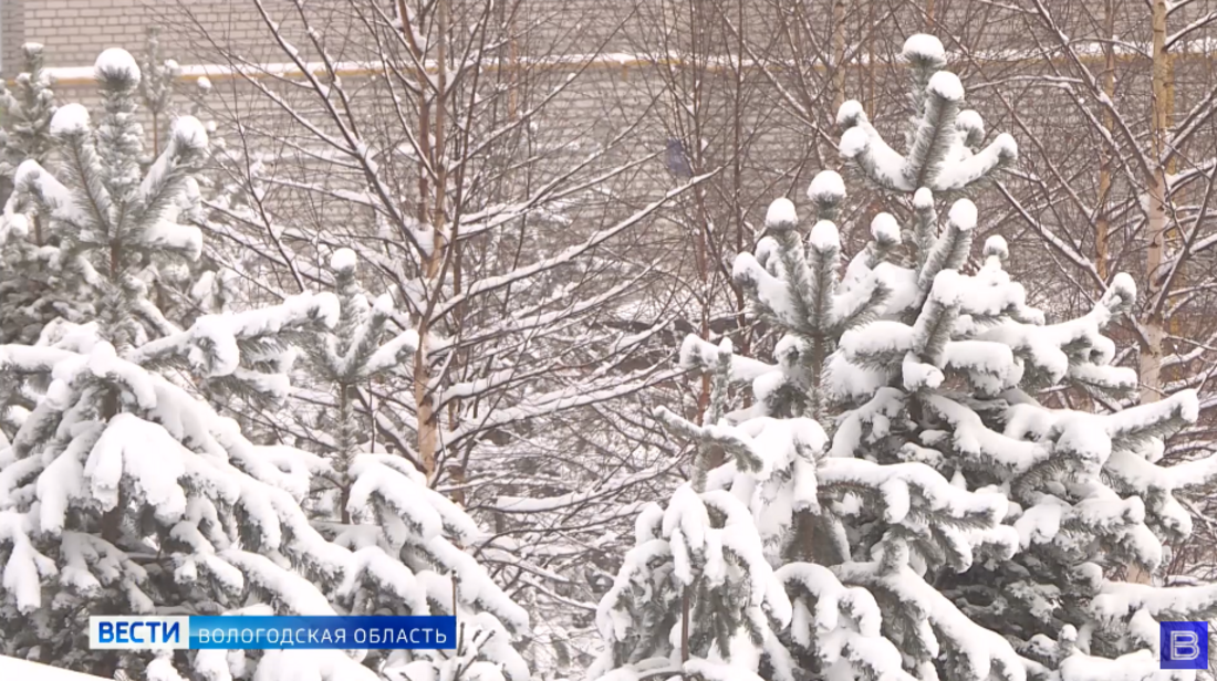 Снегопад оставил без света часть жителей Никольского района