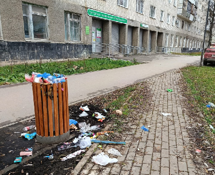 Благоустройство обернулось антисанитарией: на улице Запорожской не убирают урны у новых лавочек