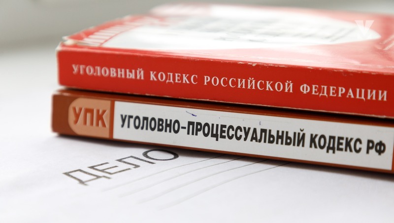 СК возбудил уголовное дело после нападения собак на школьника в Минводах