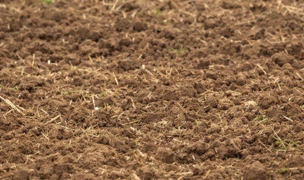 Росприроднадзор предъявил иск нефтяной компании в Калмыкии за ущерб почвам